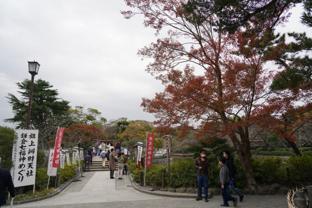 紅葉はまだ早い