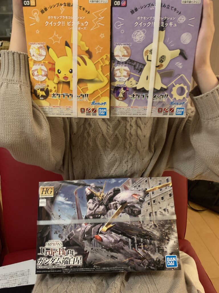 簡単に作れるポケモンとHG端白星