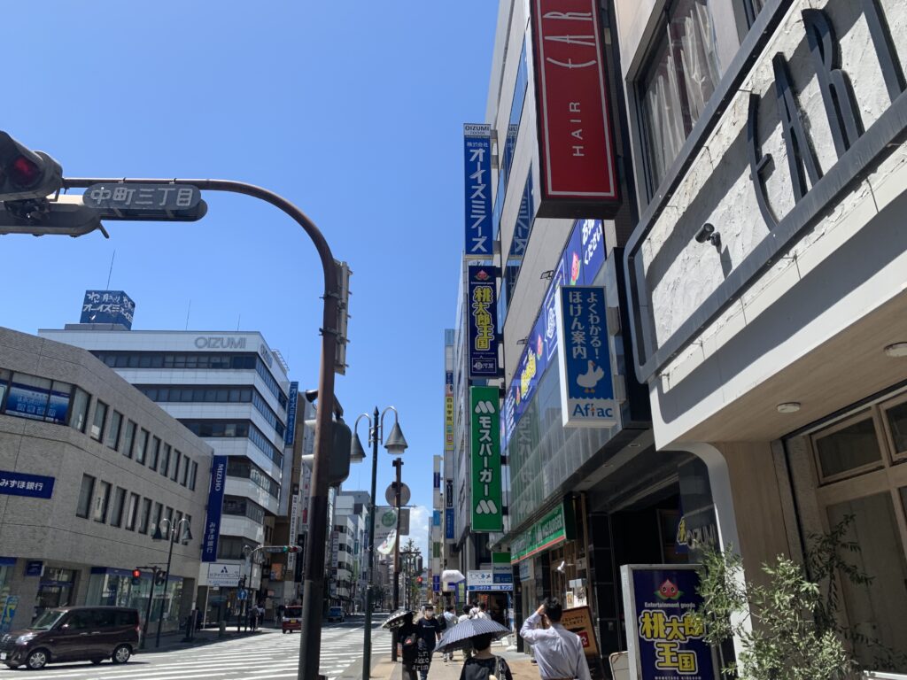 桃太郎王国　駿河屋